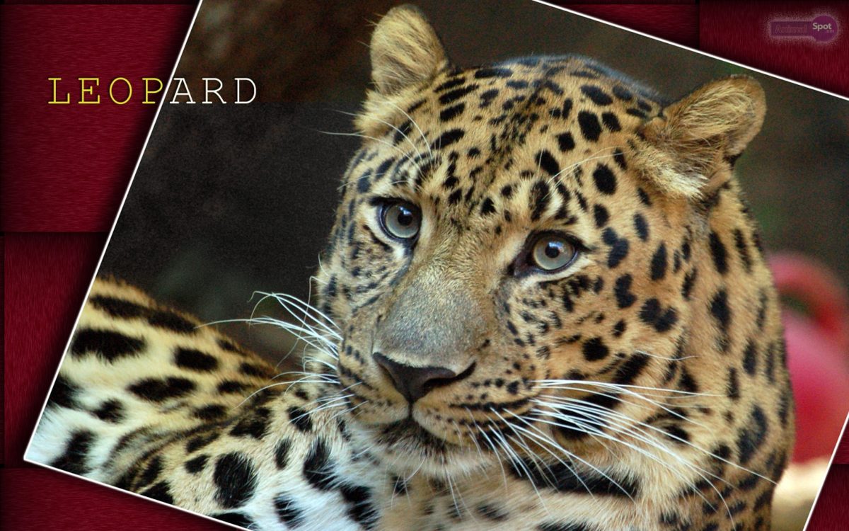 Index of /wp-content/uploads/2014/11