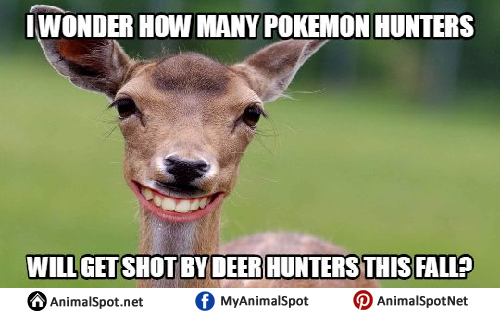 Deer Memes