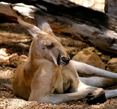 Index of /wp-content/uploads/2012/02