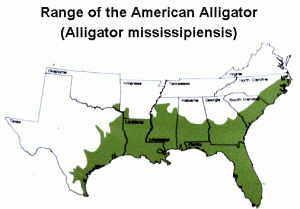 American Alligator Range Map Image
