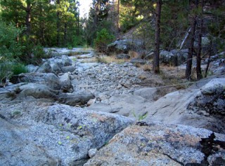 Amphibians Habitat Image