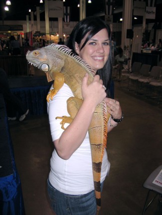 Reptiles as Pets Picture