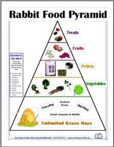 Rabbit Diet Pyramid Photo