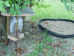 Rabbit Habitat Image