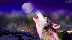 Fantasy Wolf Wallpaper