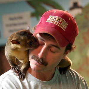 Kinkajou as Pet