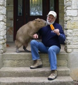 Capybara Size