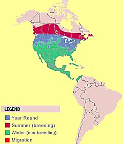 Cedar Waxwing Habitat Map