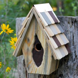 Tufted Titmouse Birdhouse