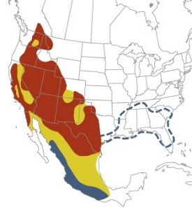 Black Chinned Hummingbird Range