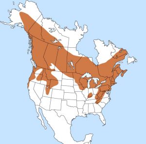 Ruffed Grouse Range