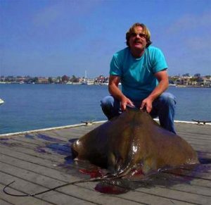 Bat Ray Fishing