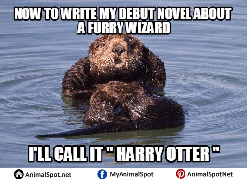 Funny Sea Otter Memes.
