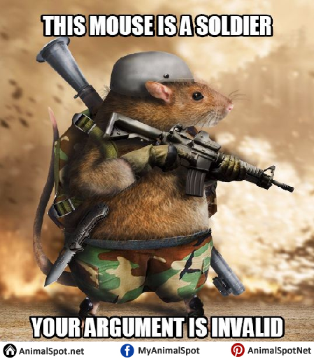 Mouse Memes