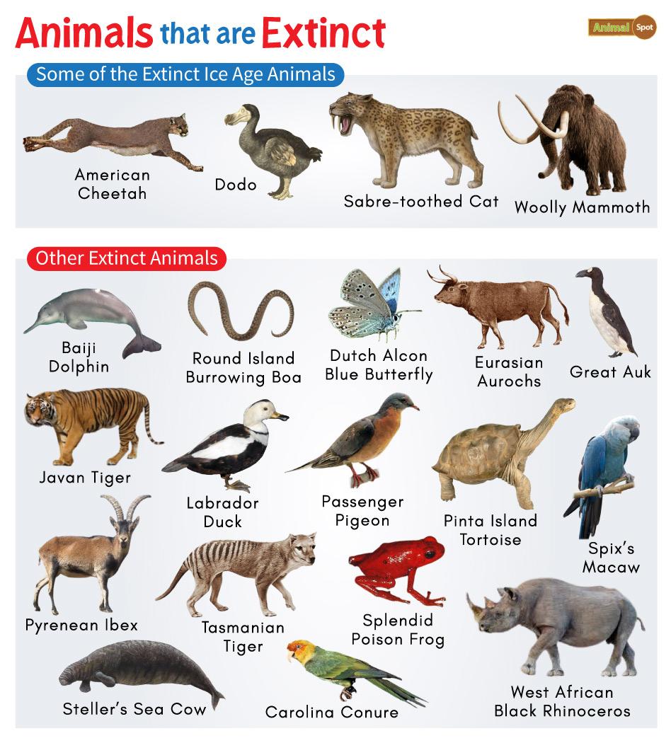 extinct animals list in the world