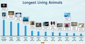 Longest Living Animals – Facts, List, Pictures, Chart