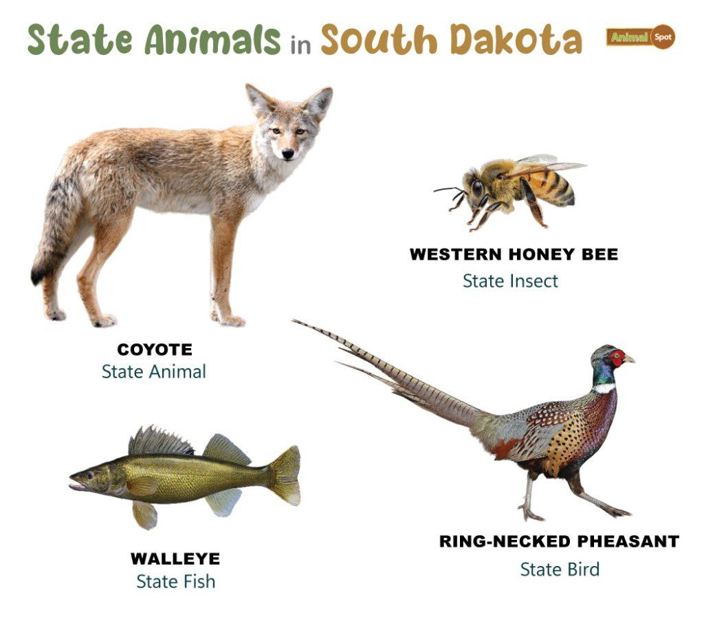 South Dakota State Animals