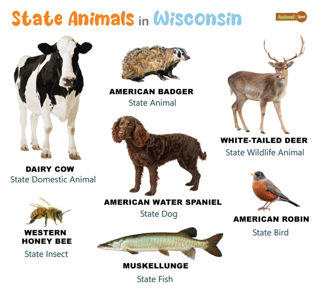 Wisconsin State Animals
